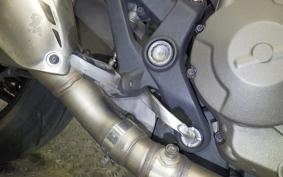 DUCATI MONSTER 821 2015