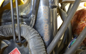 YAMAHA TW200 Gen.2 DG07J