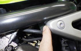 KAWASAKI BALIUS 250 Gen.2 2009 ZR250B
