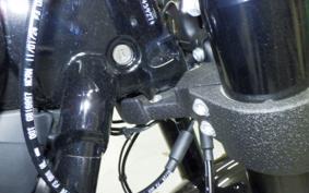 HARLEY FXLRS1920 2026