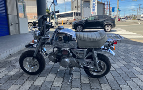 HONDA GORILLA SPRING COLLECTION Z50J