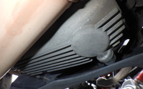 KAWASAKI VERSYS X250 A LE250D