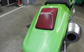 KAWASAKI KLX250 2025 LX250E