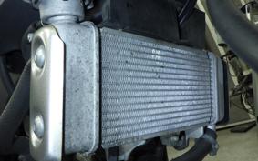 YAMAHA XSR155