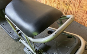 HONDA ZOOMER SPECIAL EDITION AF58