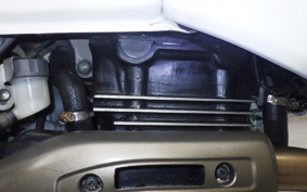 HONDA AX-1 2024 MD21