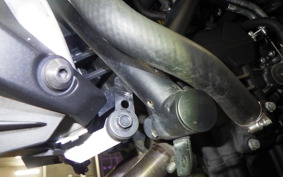 YAMAHA MT-25 2023 RG10J