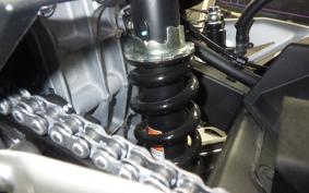 KAWASAKI NINJA 250 2022 EX250Y