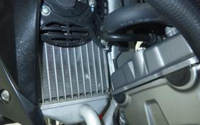 HONDA CRF250L MD38
