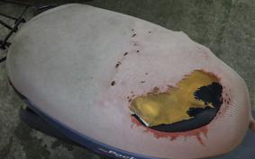 YAMAHA JOG POCHE SA08J