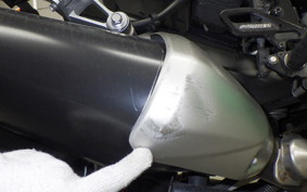 YAMAHA FZ1 FAZER 2009 RN21J