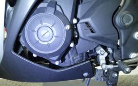 YAMAHA YZF-R25 2007 RG10J