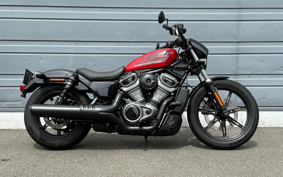 HARLEY  HARLEY RH975 NIGHT  STAR  2022 ZH1