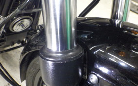 OTHER +ENFIELD ﾒﾃｵ350 2022