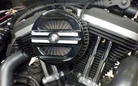 HARLEY XL883N 2015