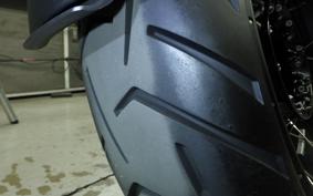 BMW R1300GS 2024