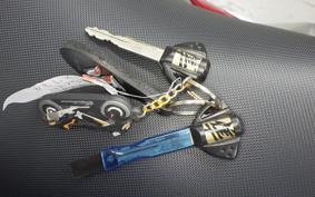SUZUKI HAYABUSA Gen.3 2023 EJ11A