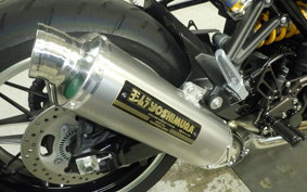 KAWASAKI Z900RS 2023 ZR900K