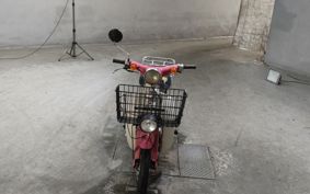 HONDA LITTLE CUB AA01