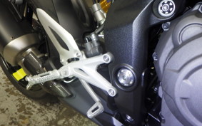 TRIUMPH SPEED TRIPLE RX 2026