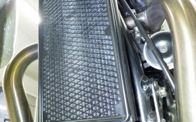 TRIUMPH SPEED TWIN 2019