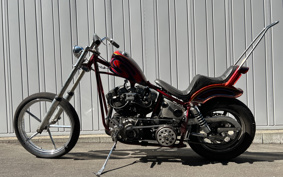 HARLEY HARLEY KIT BIKE 200