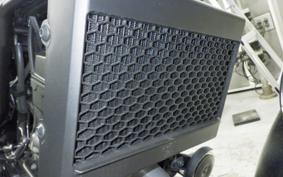 HONDA REBEL 250 E-Clutch 2025 MC49