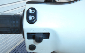SUZUKI ZZ INCH UP SPORT CA1PB