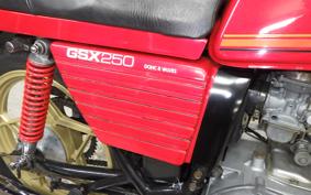 SUZUKI GSX250E