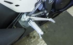 KAWASAKI NINJA ZX-6R A 2025 ZX636J