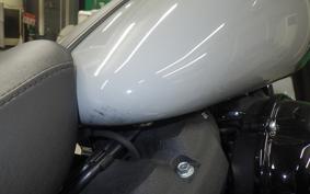 HARLEY FLSB 1750 2025