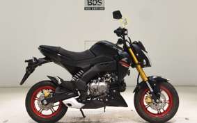 KAWASAKI Z125 PRO 2021 BR125H
