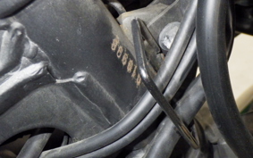 KAWASAKI NINJA 250