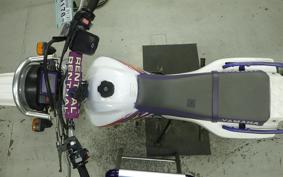 YAMAHA TT250R RAID 4GY