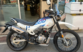 OTHER  HERO X-PULSE200 4V