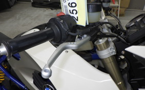 BMW HP2 MEGAMOTO 2009