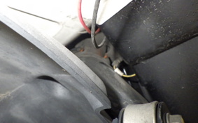 HONDA GYRO X 2025 TD01