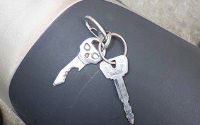 YAMAHA TRICKER DG10J