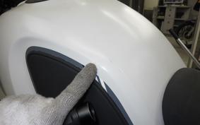 OTHER +ENFIELD ﾋﾏﾗﾔﾝ 2022