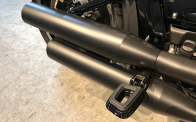 HARLEY FLFBS 2020 YRK