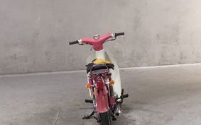 HONDA LITTLE CUB C50