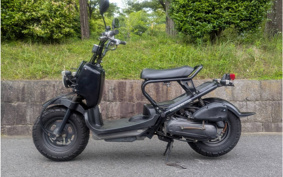 HONDA ZUMAR AF58