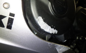 KAWASAKI NINJA 250 EX250P