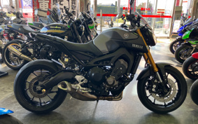 YAMAHA MT-09 2014 RN34J