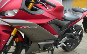 YAMAHA YZF-R25 RG43J