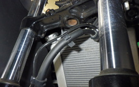 SUZUKI GSX-R125 2013 DL33B