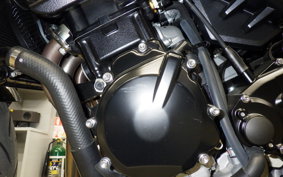 SUZUKI GSX-S750 2024 C533F