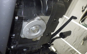 OTHER +MUTTｻﾊﾞｽ250