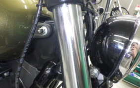 HARLEY FXBB1750 2018