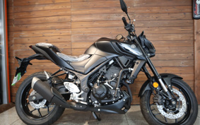 YAMAHA MT-25 RG74J